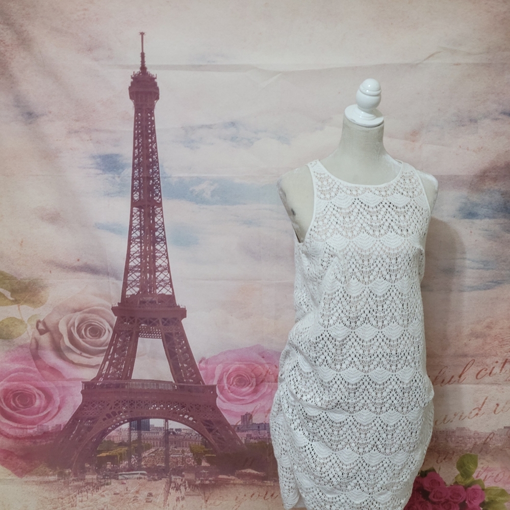 Loft Crochet knit dress